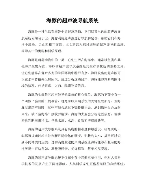 海豚的超声波导航系统