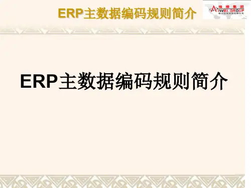 ERP主数据编码规则简介ppt课件