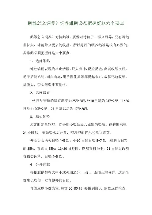 鹅雏怎么饲养？饲养雏鹅必须把握好这六个要点