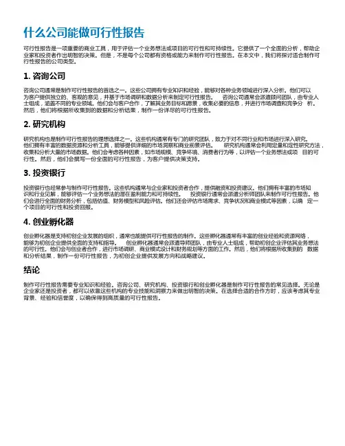 什么公司能做可行性报告
