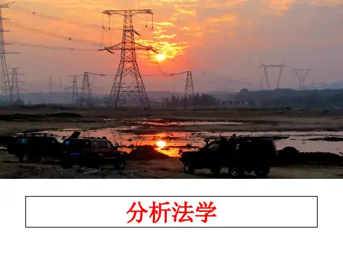 最新分析法学ppt课件