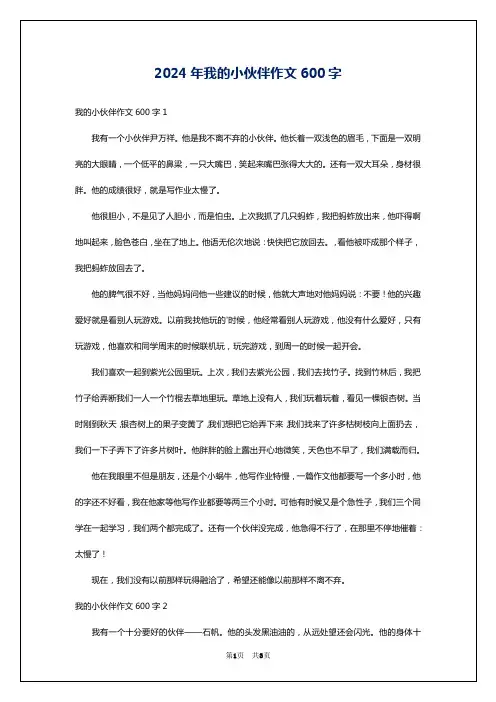 2024年我的小伙伴作文600字