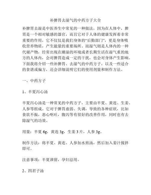 补脾胃去湿气的中药方子大全