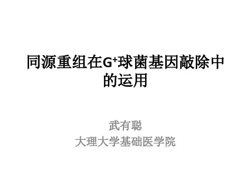 1. 同源重组在G+球菌基因敲除中的运用