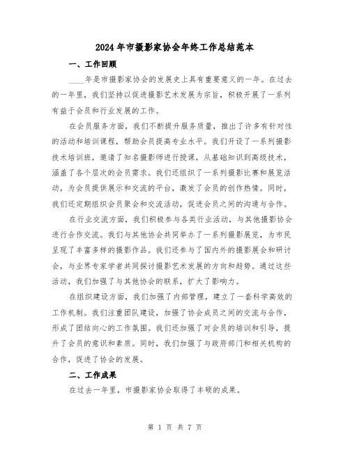 2024年市摄影家协会年终工作总结范本(3篇)