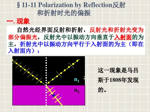 1111反射光与折射光的偏振