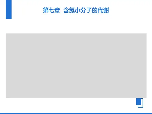 动物生化第七章含氮小分子代谢