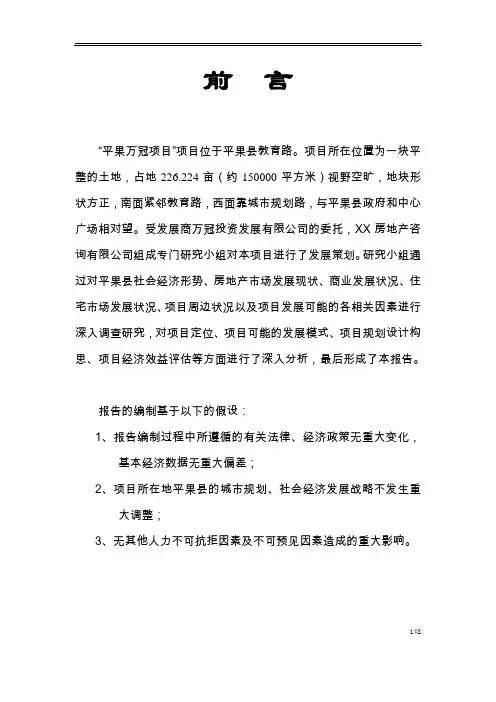 平果万冠商业广场策划报告