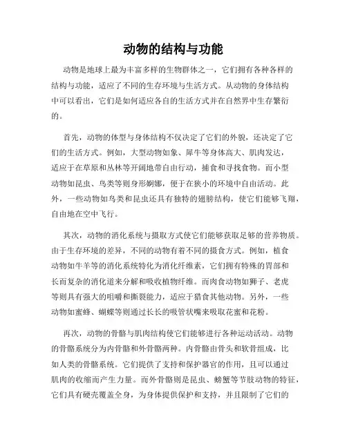 动物的结构与功能