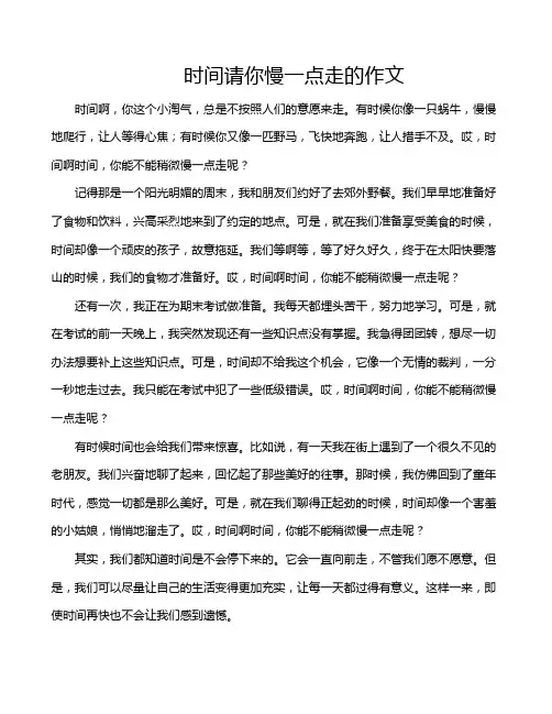 时间请你慢一点走的作文