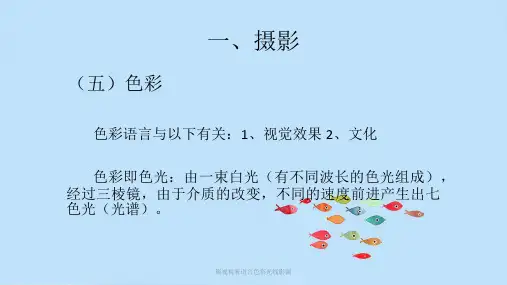 影视视听语言色彩光线影调