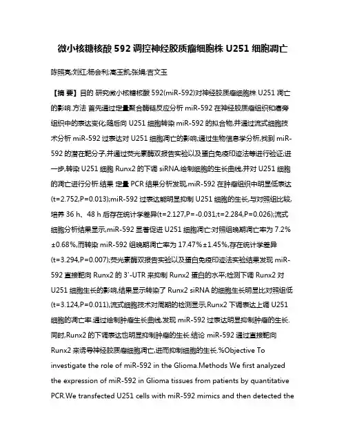微小核糖核酸592调控神经胶质瘤细胞株U251细胞凋亡