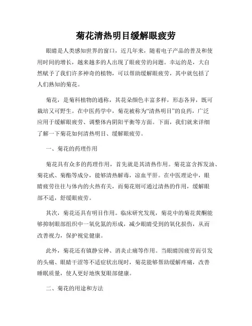 菊花清热明目缓解眼疲劳