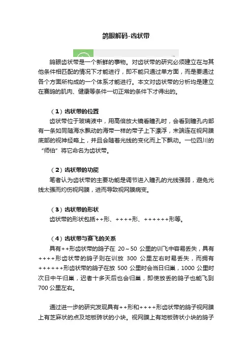 鸽眼解码-齿状带