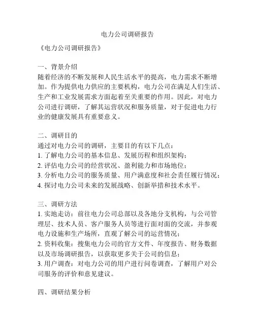 电力公司调研报告