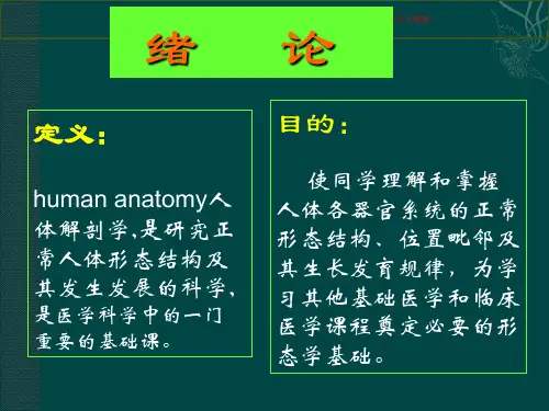 人体解剖学概述培训课件