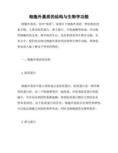细胞外基质的结构与生物学功能