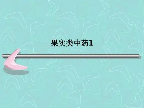 [医学]果实类中药1