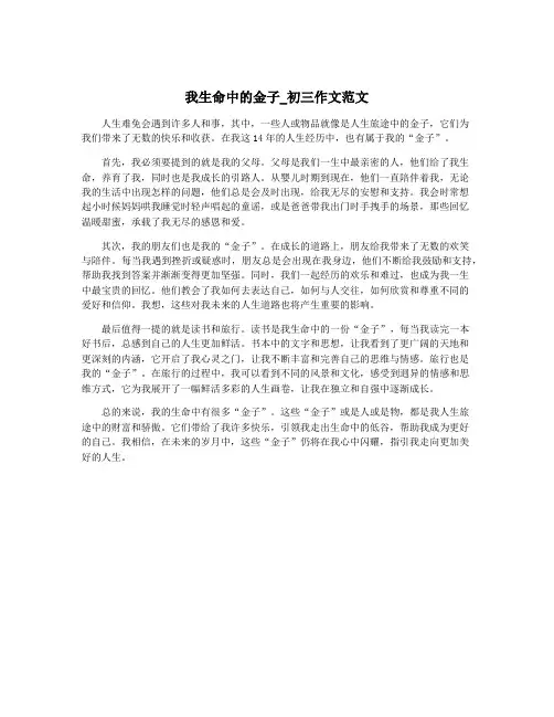 我生命中的金子_初三作文范文