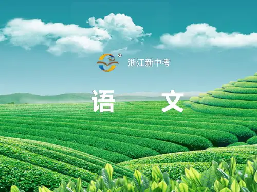 专题三-非连续性文本阅读