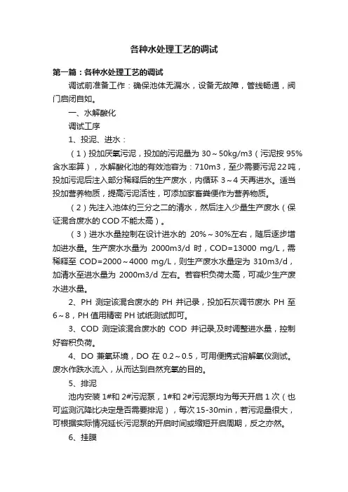 各种水处理工艺的调试