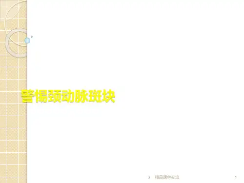 警惕颈动脉斑块课件