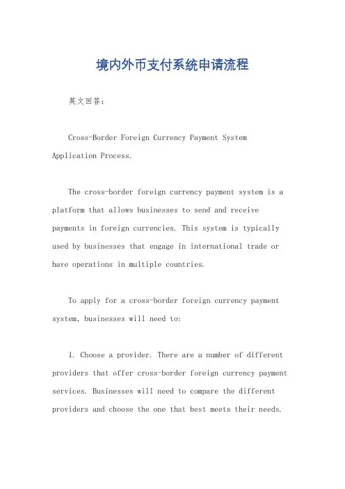 境内外币支付系统申请流程