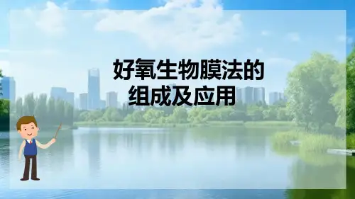 微生物在污水处理中的应用—好氧生物膜法