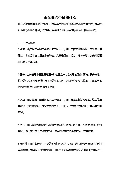 山东省适合种植什么