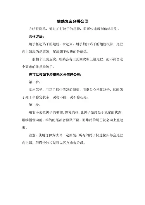 信鸽怎么分辨公母