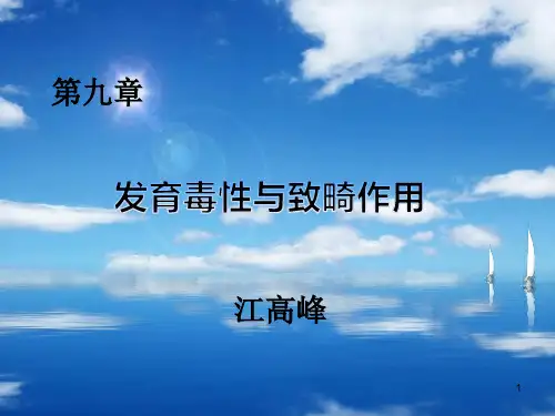 发育毒性与致畸作用