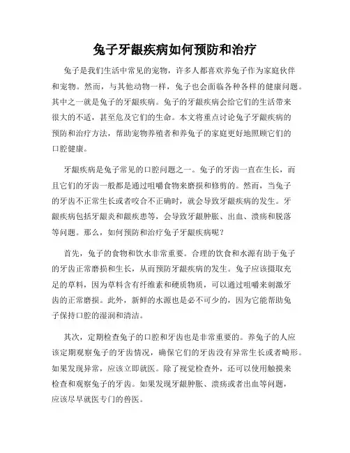 兔子牙龈疾病如何预防和治疗