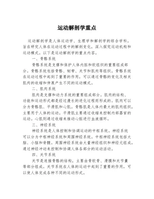 运动解剖学重点