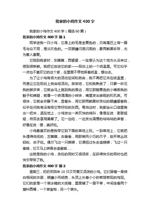 我家的小鸡作文400字（精选60篇）