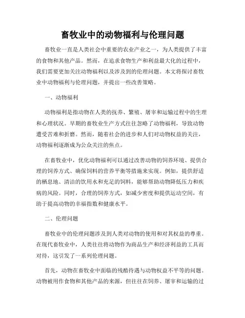 畜牧业中的动物福利与伦理问题