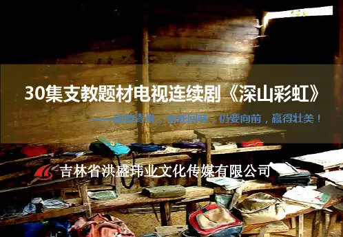 电视剧策划案例 ppt课件