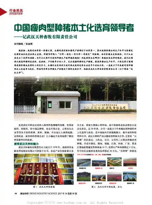 中国瘦肉型种猪本土化选育领导者——记武汉天种畜牧有限责任公司