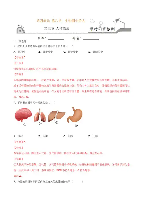 专题4.8.3 人体概述(解析版)