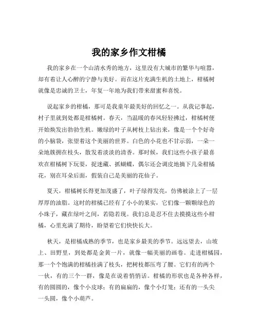 我的家乡作文柑橘