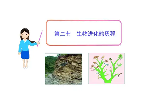 生物进化的历程省名师优质课赛课获奖课件市赛课一等奖课件