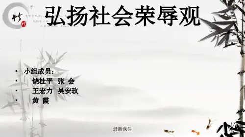 大学生社会主义荣辱观ppt课件