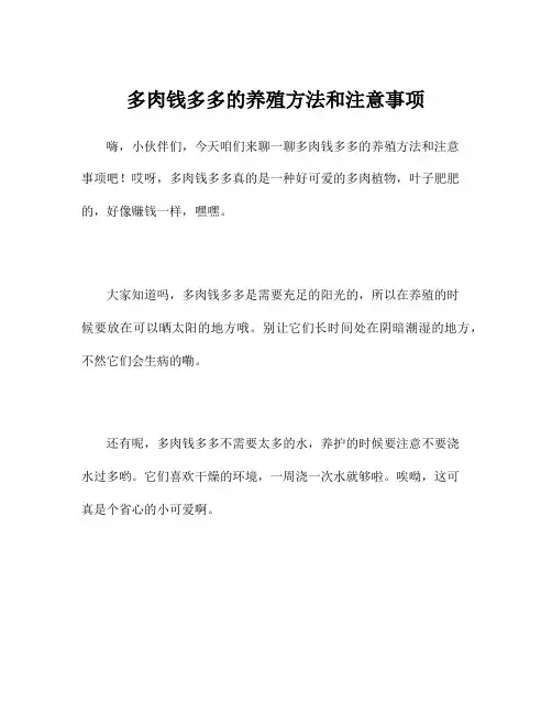 多肉钱多多的养殖方法和注意事项