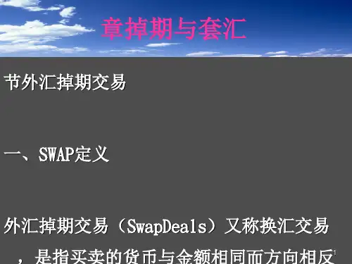 外汇掉期交易管理与汇率管理知识分析定义(ppt29张)