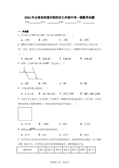 2024年云南省昭通市昭阳区九年级中考一模数学试题