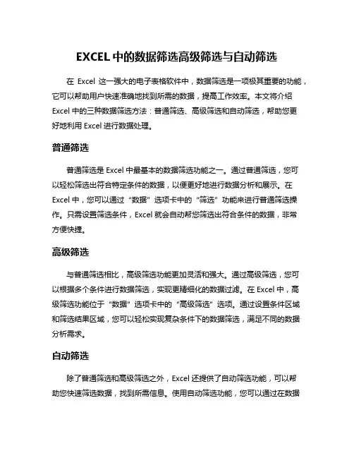 EXCEL中的数据筛选高级筛选与自动筛选