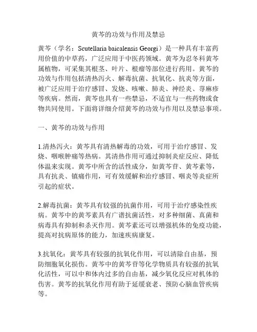 黄芩的功效与作用及禁忌