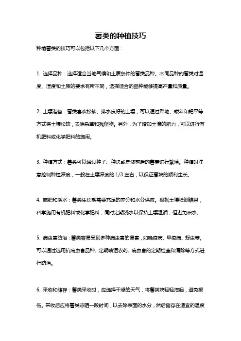 薯类的种植技巧