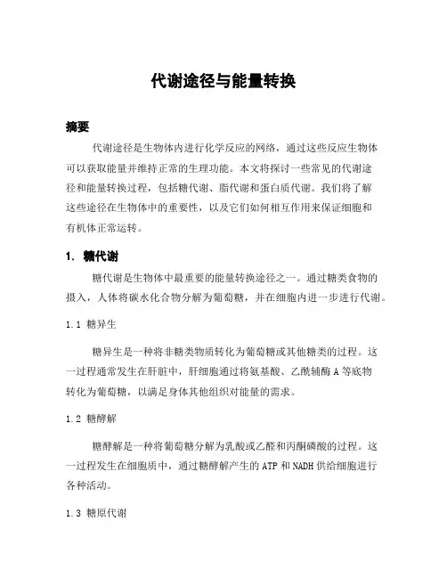 代谢途径与能量转换