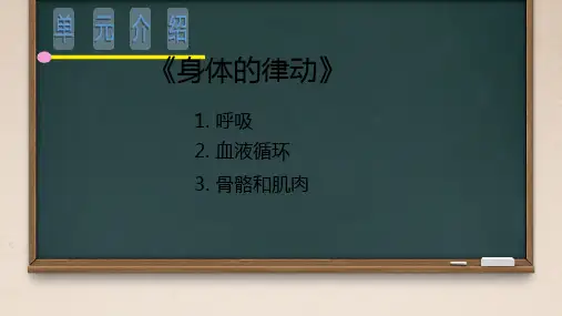 认识我们自己班会课件ppt