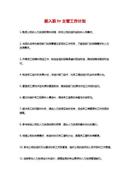 新入职hr主管工作计划
